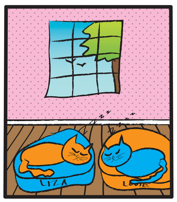 liza and louie illustration of both cats sleeping on their cat beds